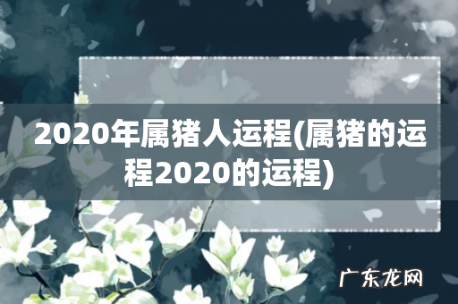 属猪的运程2020的运程 2020年属猪人运程