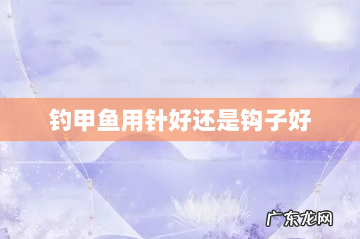 钓甲鱼用针好还是钩子好