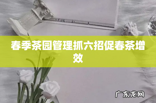 春季茶园管理抓六招促春茶增效