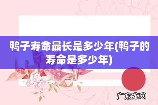 鸭子的寿命是多少年 鸭子寿命最长是多少年