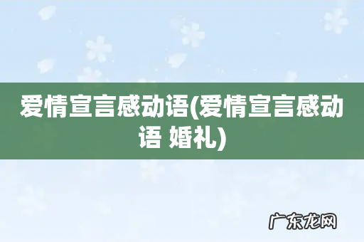 爱情宣言感动语 婚礼 爱情宣言感动语