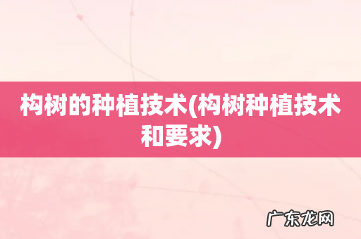 构树种植技术和要求 构树的种植技术