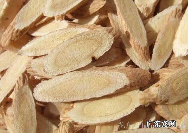 黄芪有什么作用与功效 黄芪功效与作用是什么