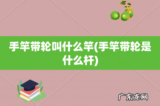 手竿带轮是什么杆 手竿带轮叫什么竿