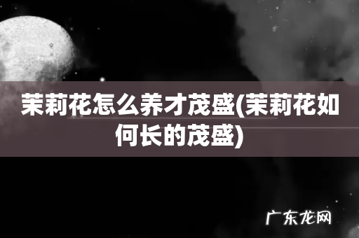 茉莉花如何长的茂盛 茉莉花怎么养才茂盛