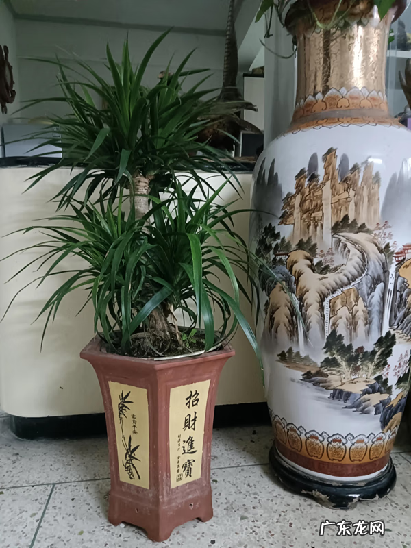 进门看见镜子有什么不好 进门口有镜子风水好吗