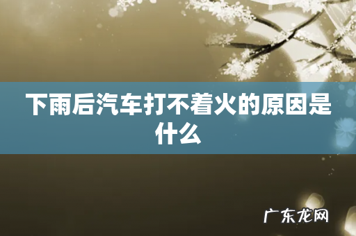 下雨后汽车打不着火的原因是什么