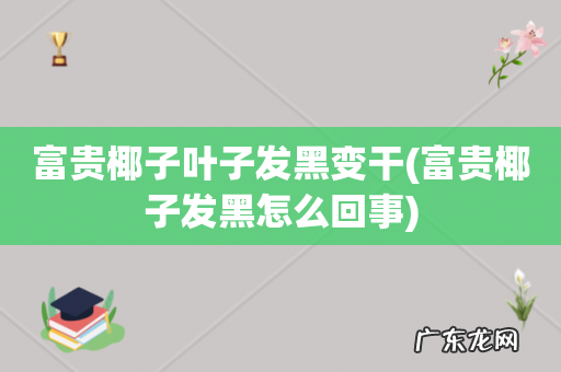 富贵椰子发黑怎么回事 富贵椰子叶子发黑变干