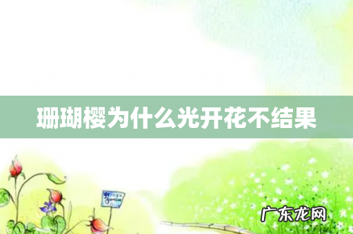 珊瑚樱为什么光开花不结果