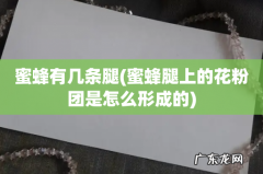 蜜蜂腿上的花粉团是怎么形成的 蜜蜂有几条腿