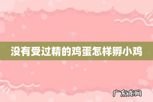 没有受过精的鸡蛋怎样孵小鸡