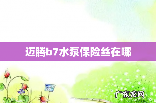 迈腾b7水泵保险丝在哪