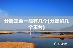 分蜂留几个王台 分蜂王台一般有几个