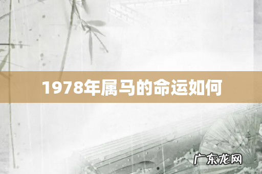 1978年属马的命运如何