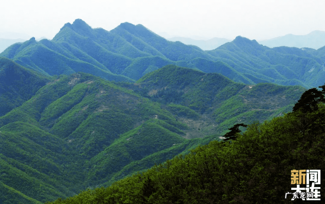 普兰店最好的小区 普兰店莫亚小镇风水