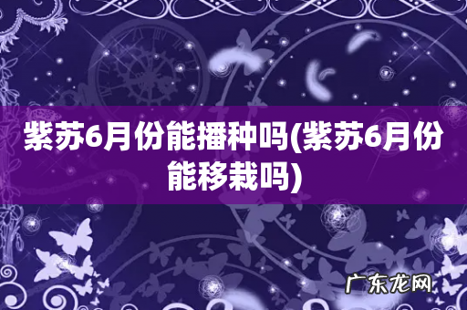 紫苏6月份能移栽吗 紫苏6月份能播种吗