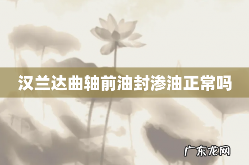 汉兰达曲轴前油封渗油正常吗
