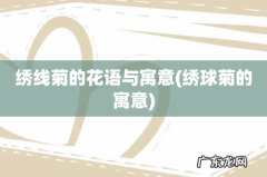 绣球菊的寓意 绣线菊的花语与寓意