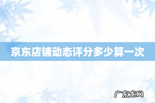 京东店铺动态评分多少算一次