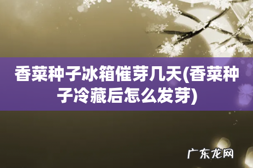 香菜种子冷藏后怎么发芽 香菜种子冰箱催芽几天