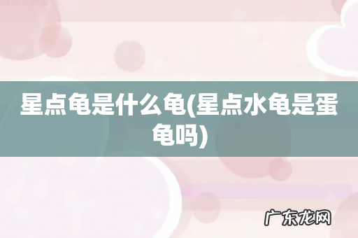 星点水龟是蛋龟吗 星点龟是什么龟