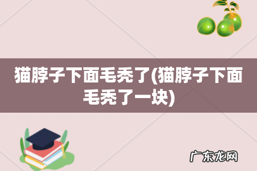 猫脖子下面毛秃了一块 猫脖子下面毛秃了