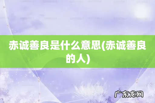 赤诚善良的人 赤诚善良是什么意思