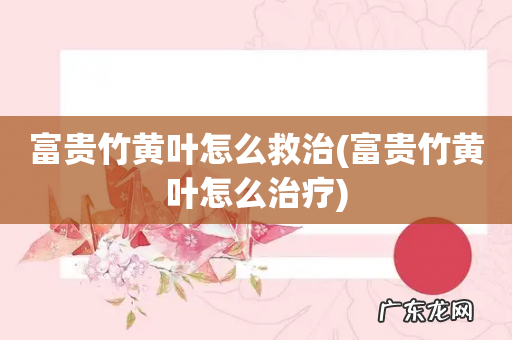 富贵竹黄叶怎么治疗 富贵竹黄叶怎么救治