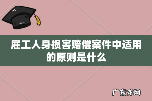 雇工人身损害赔偿案件中适用的原则是什么