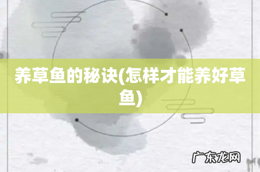 怎样才能养好草鱼 养草鱼的秘诀