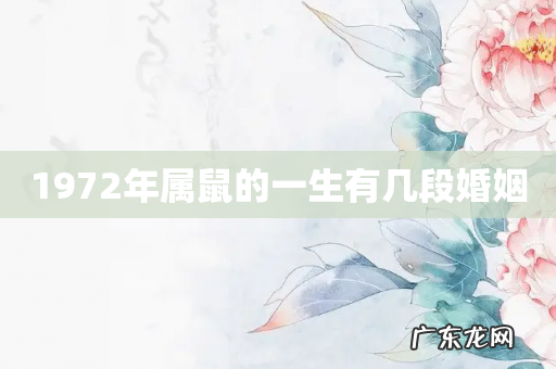 1972年属鼠的一生有几段婚姻