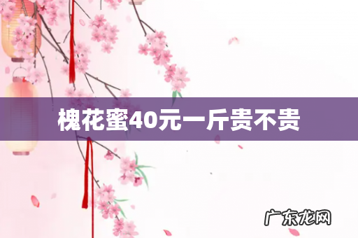 槐花蜜40元一斤贵不贵