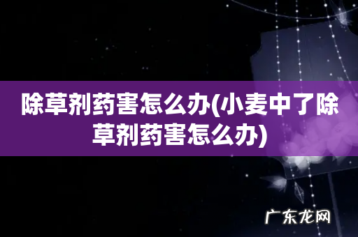 小麦中了除草剂药害怎么办 除草剂药害怎么办