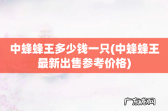 中蜂蜂王最新出售参考价格 中蜂蜂王多少钱一只