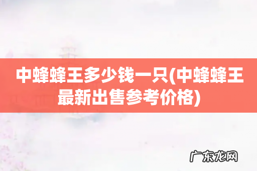中蜂蜂王最新出售参考价格 中蜂蜂王多少钱一只