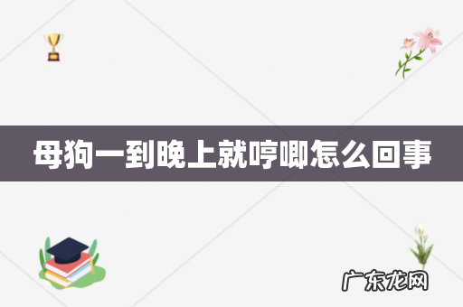 母狗一到晚上就哼唧怎么回事