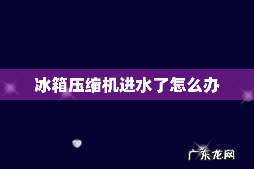 冰箱压缩机进水了怎么办
