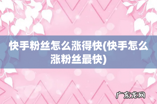 快手怎么涨粉丝最快 快手粉丝怎么涨得快