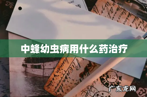 中蜂幼虫病用什么药治疗