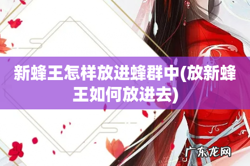 放新蜂王如何放进去 新蜂王怎样放进蜂群中