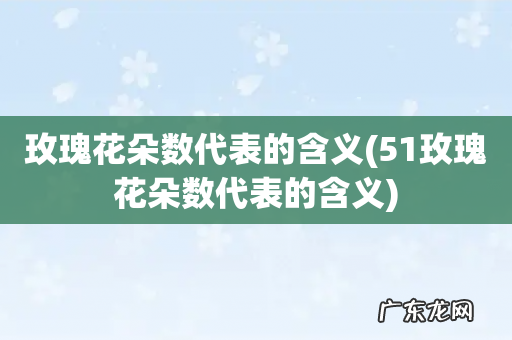 51玫瑰花朵数代表的含义 玫瑰花朵数代表的含义