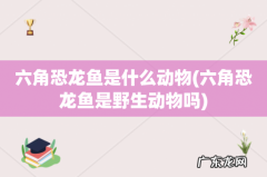 六角恐龙鱼是野生动物吗 六角恐龙鱼是什么动物