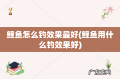 鲤鱼用什么钓效果好 鲤鱼怎么钓效果最好