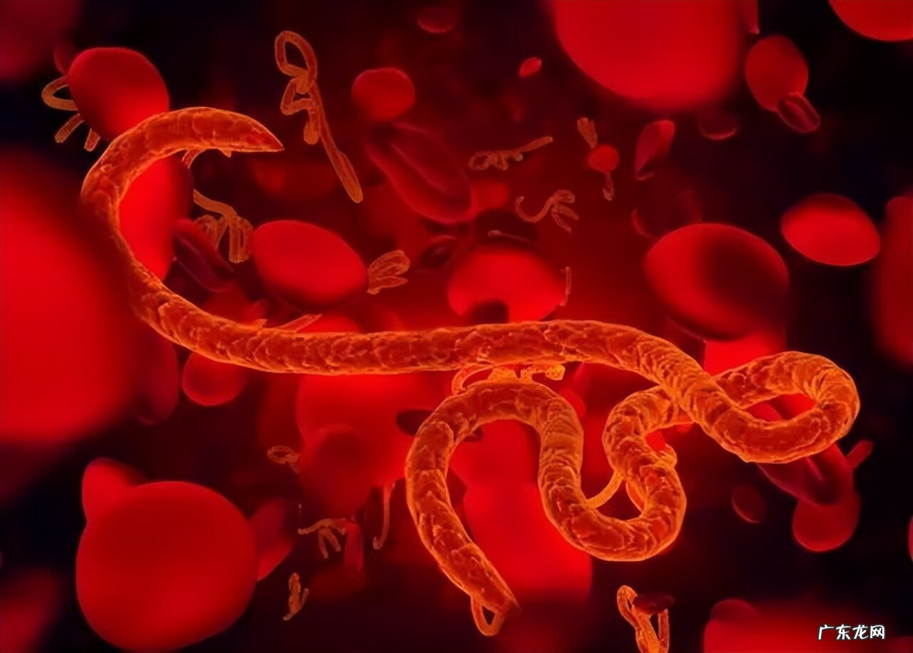 得了性疾病有什么症状 性疾病是怎么来的