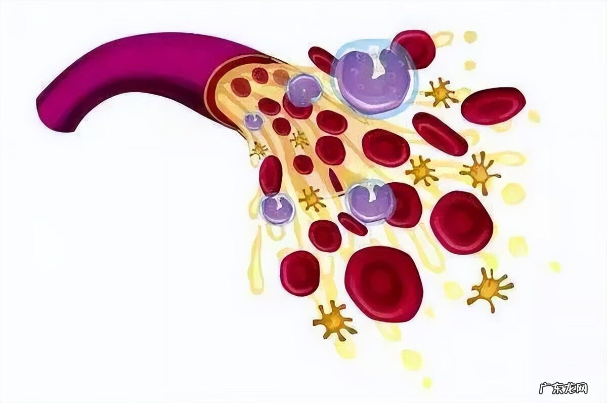 得了性疾病有什么症状 性疾病是怎么来的