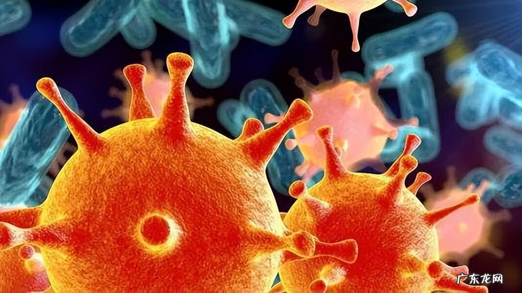 得了性疾病有什么症状 性疾病是怎么来的