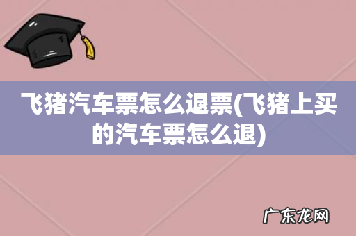 飞猪上买的汽车票怎么退 飞猪汽车票怎么退票