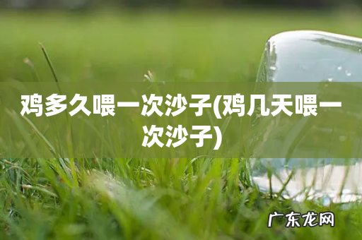 鸡几天喂一次沙子 鸡多久喂一次沙子