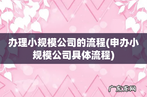 申办小规模公司具体流程 办理小规模公司的流程