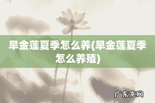 旱金莲夏季怎么养殖 旱金莲夏季怎么养